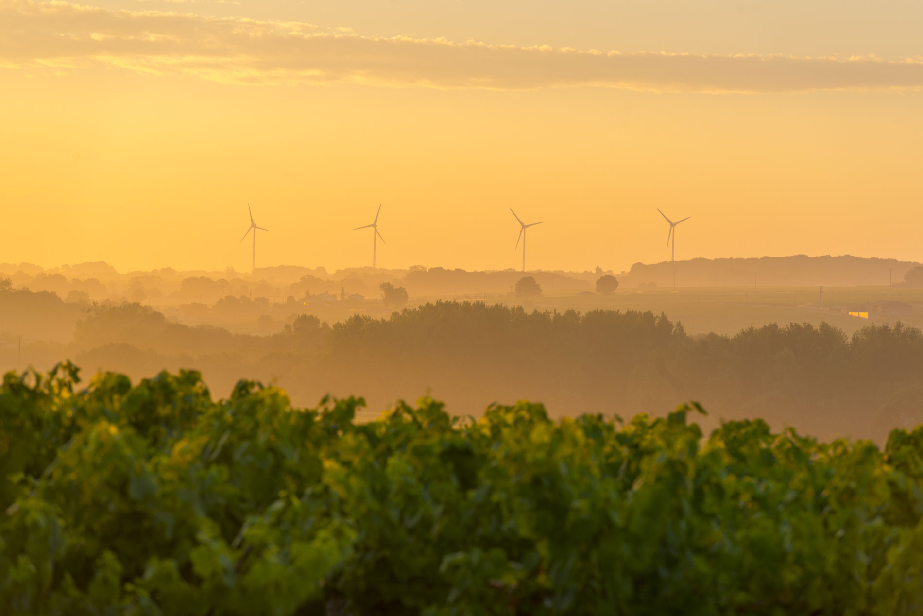 Actions thématiques