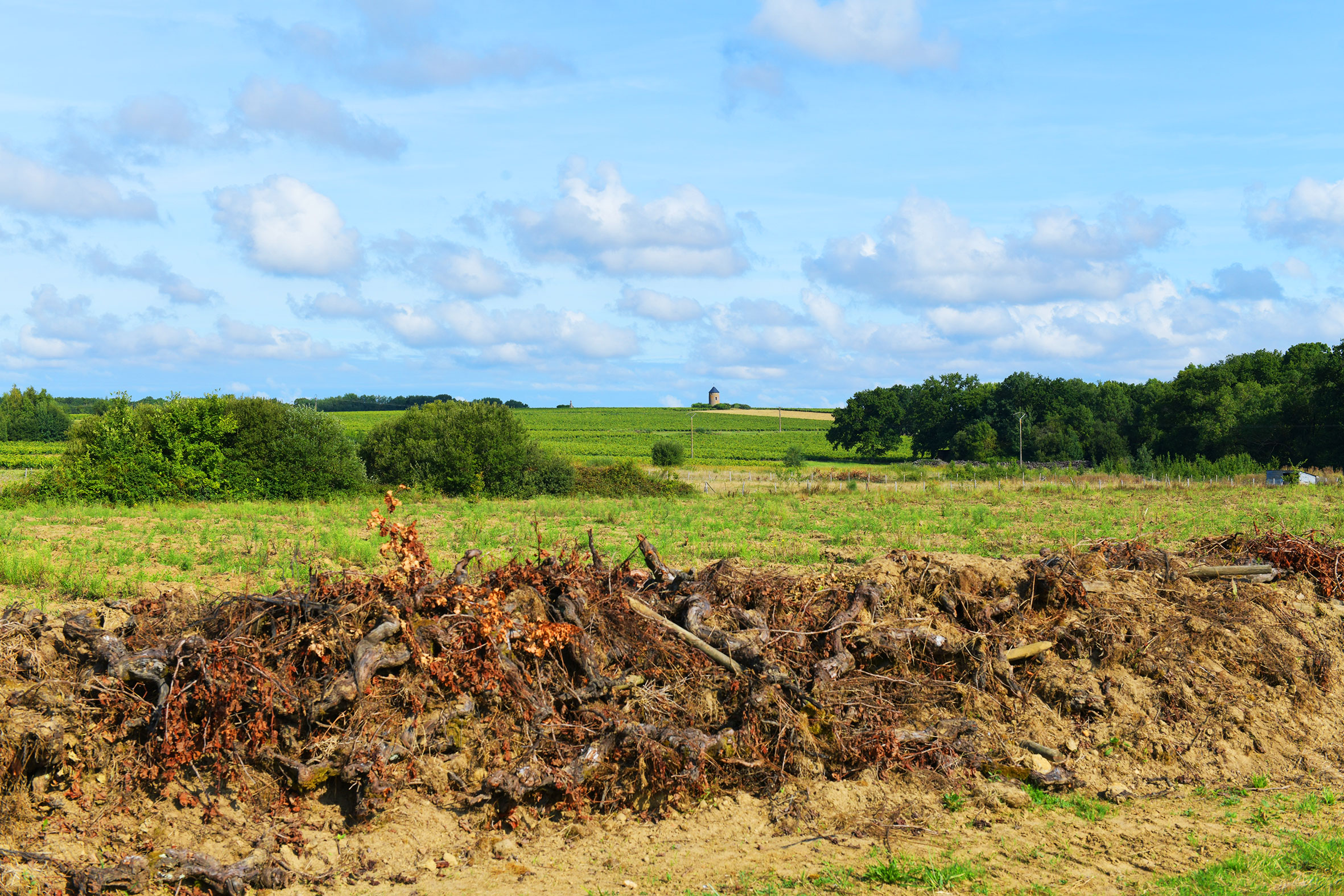 Observatoire Photographique des Paysages